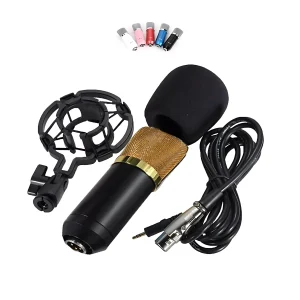 HC-702-01 microphone + windproof cotton + plastic shock proof frame