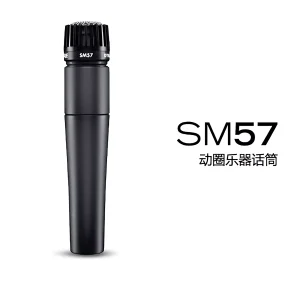 HD-014 Dynamic Instrument Microphone, Leather Case, Stand