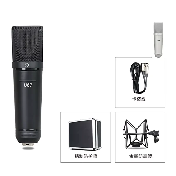 HU-87B-02 microphone + windproof cotton + double Canon wire + large iron shock proof frame + aluminum box